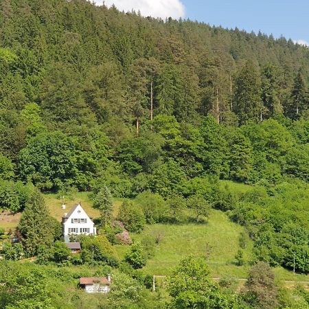 Ferienhaus Waldglück Calw Exterior foto